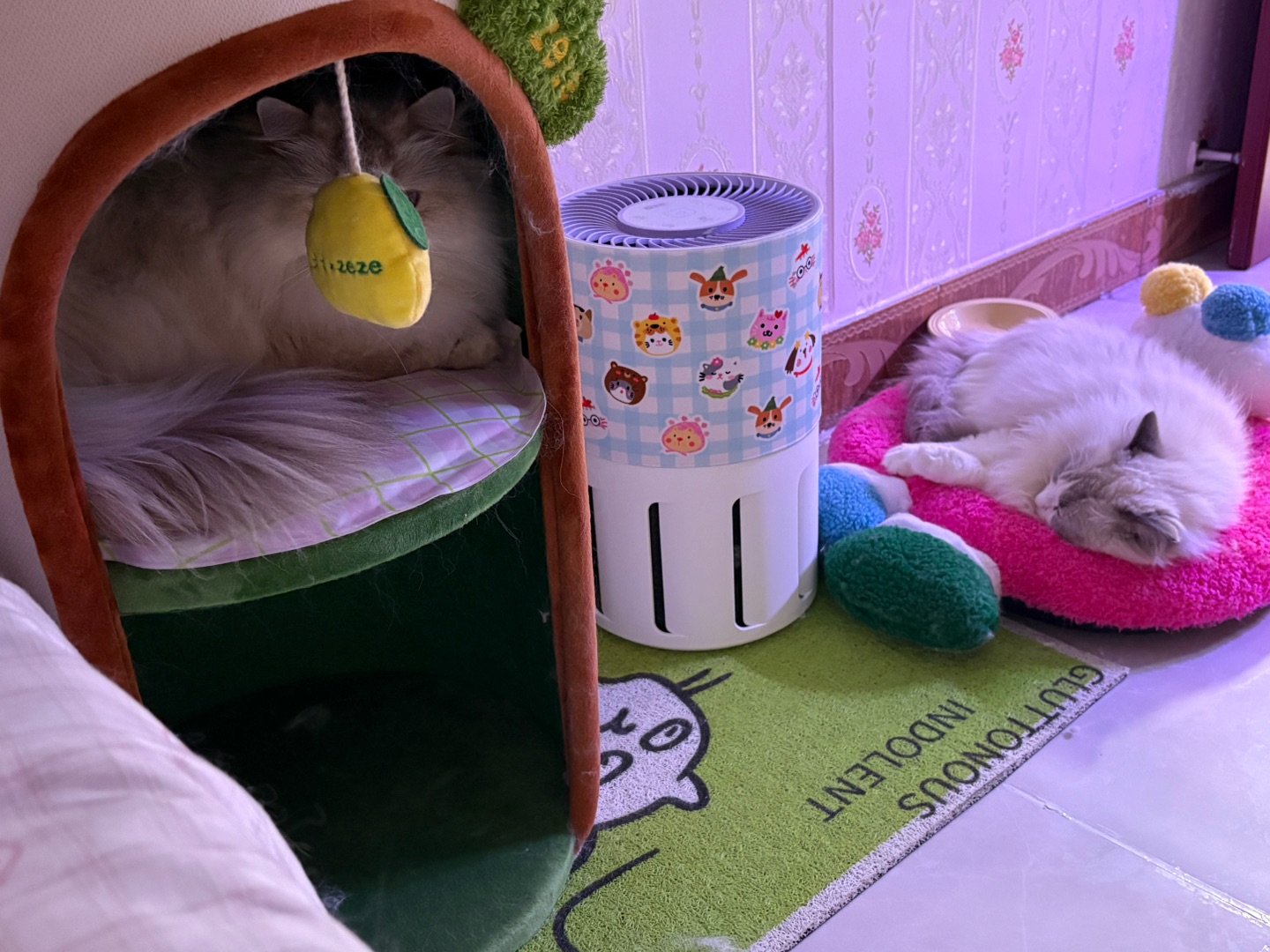 西五街