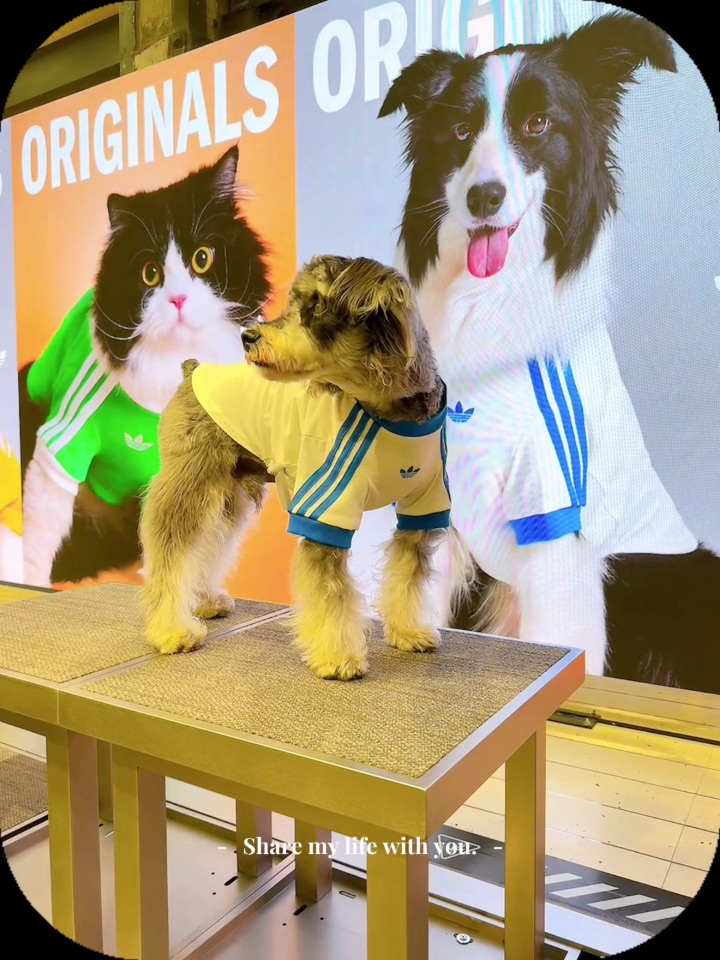 西五街