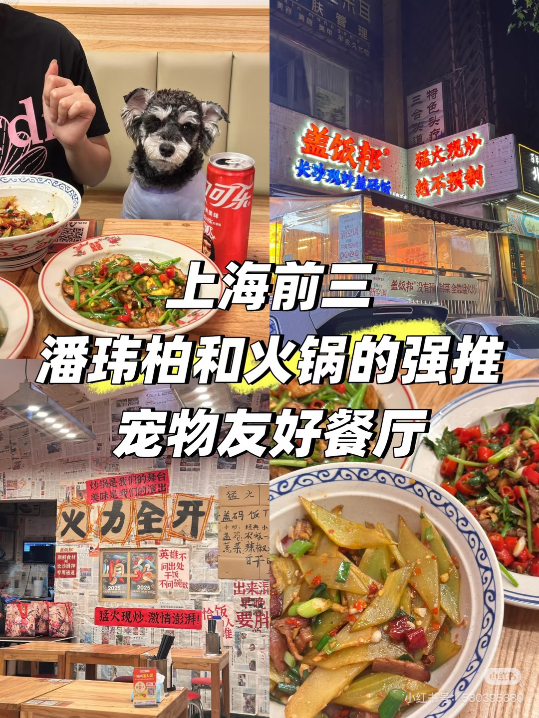 终于找到潘玮柏同款平价湘菜了！