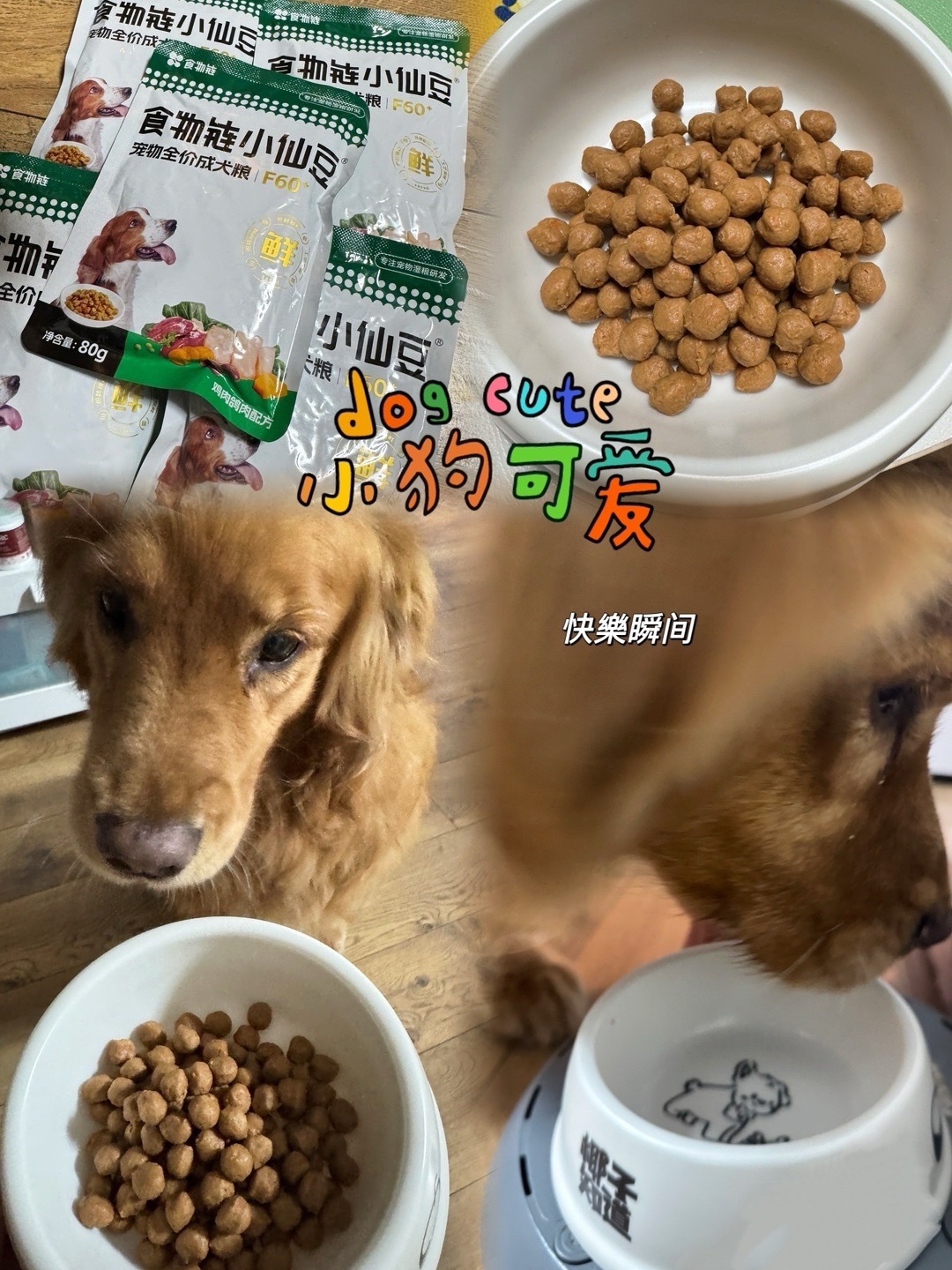 拿捏挑食小狗🐶