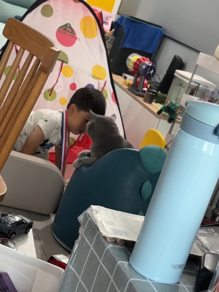 两小只不知道在商量什么