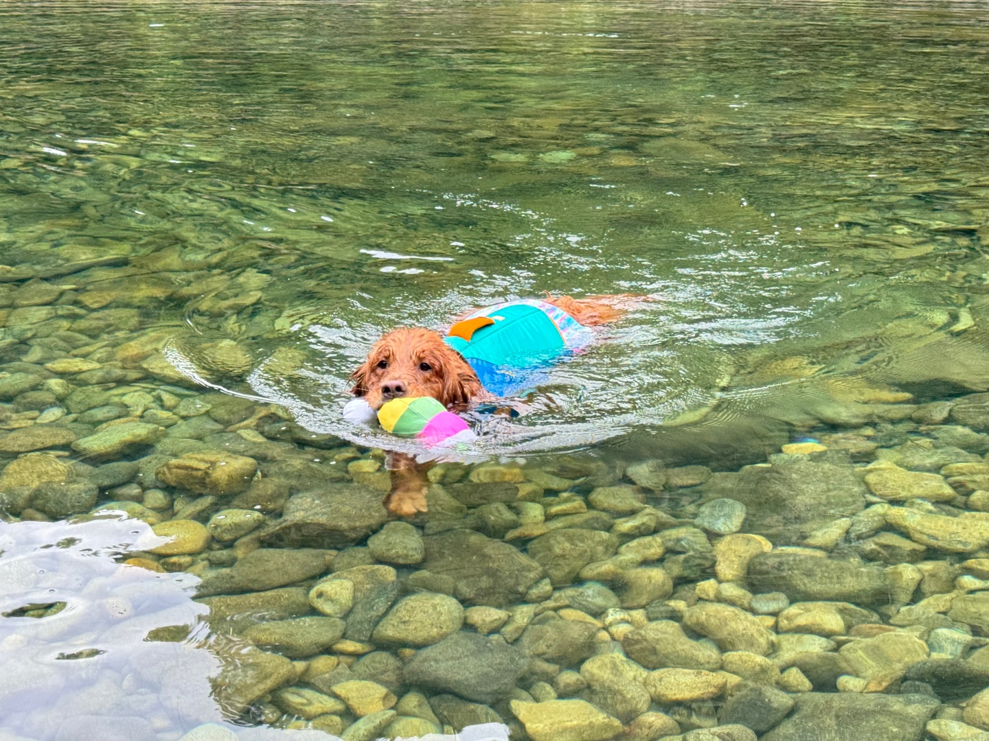 主题：天花板玻璃水🌊 观点：进⛰️玩💦 🚗车程：上海-龙泉，7h 3️⃣天2️⃣夜行程： 龙泉金村→望瓯·陶溪川→西街→水塔村龙潭门→留槎洲→龙泉宝剑厂→下樟村  🍽️美食推荐： 阿海熟食（肉排很脆很好吃） 北河街凉皮（米粉加瘦肉+加炸蛋） 凉拌瘦肉丸（很适合夏天吃） 大蜜旺糖水（好吃量很大，水果很新鲜）
