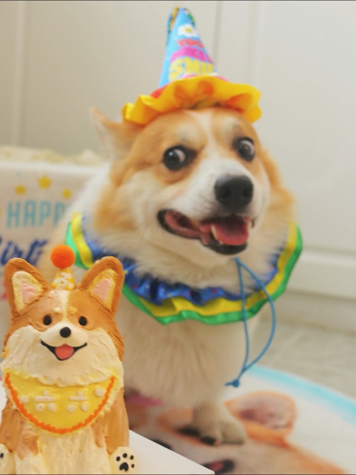 小斗我今天生日啦
