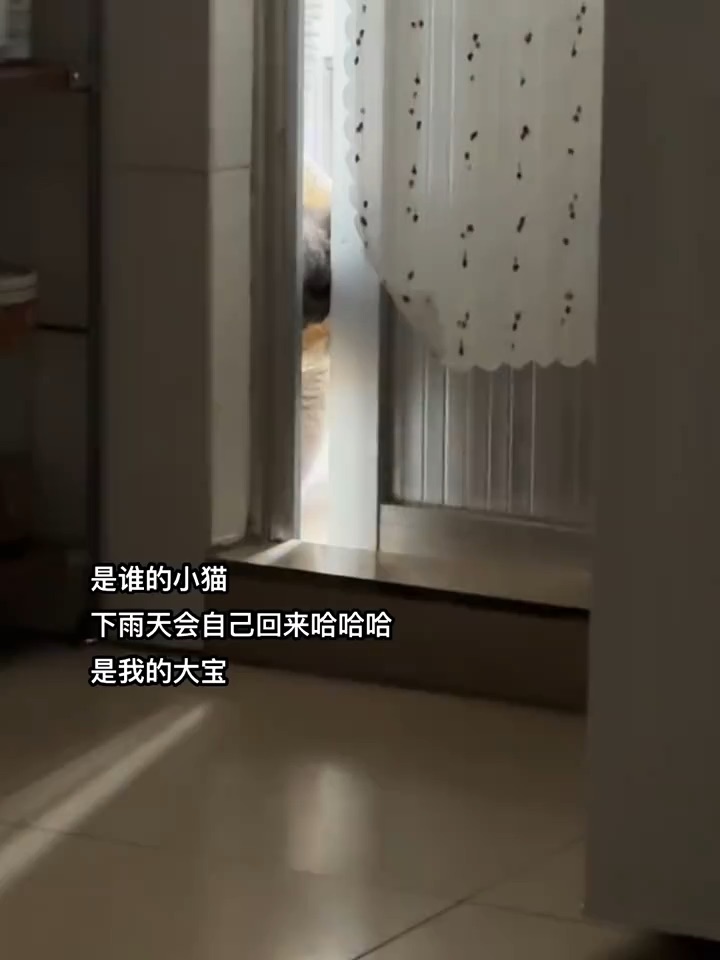 贴贴大宝🥰