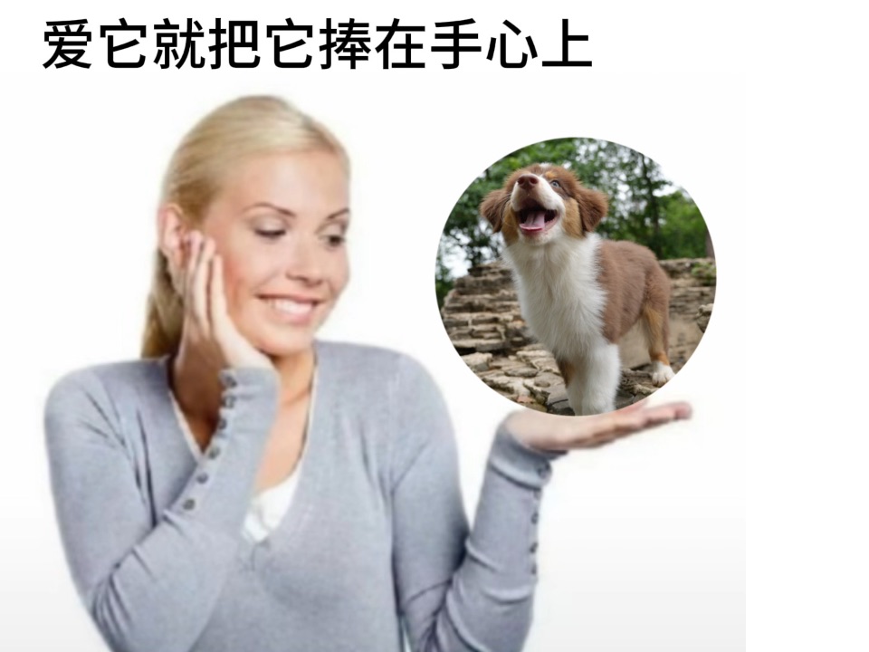 胡桃就是你的优乐美～