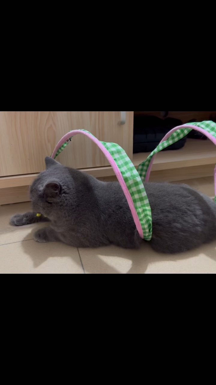 落荒而逃哈哈哈