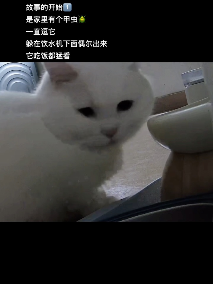 故事的开始1️⃣