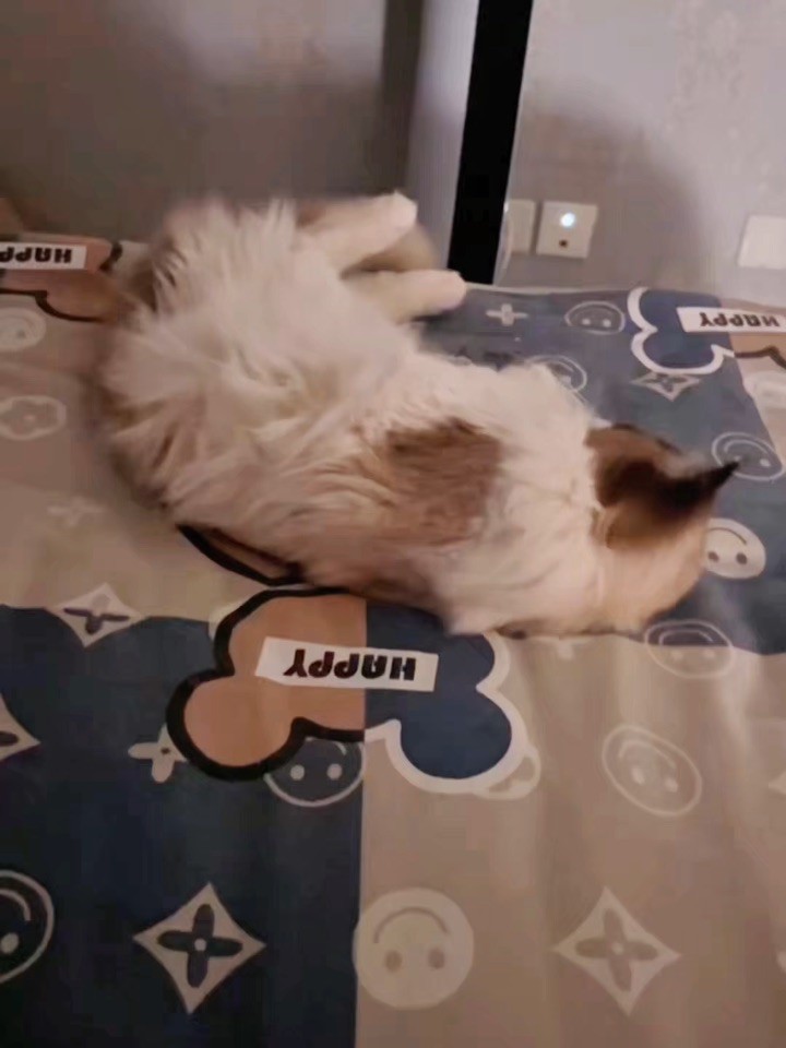 可会享受了