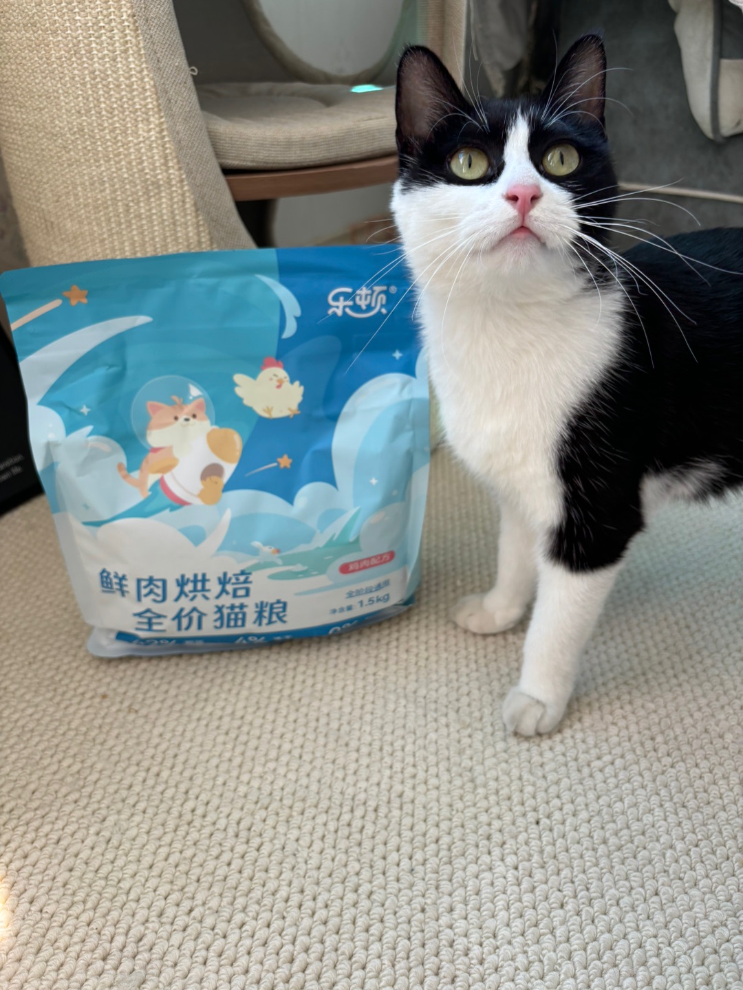 Hi~ o(*￣▽￣*)ブ(^o^)／(*´▽｀)ノノ*\(๑• ₃ •๑)