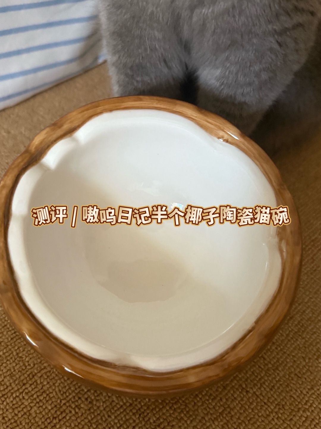 测评 | 嗷呜日记半个椰子陶瓷猫碗🥥