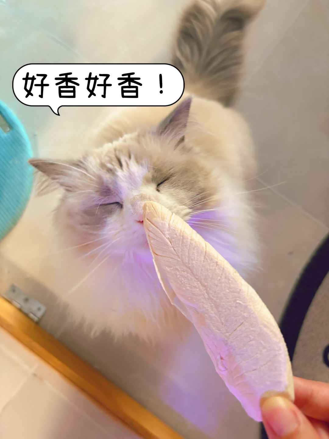西五街