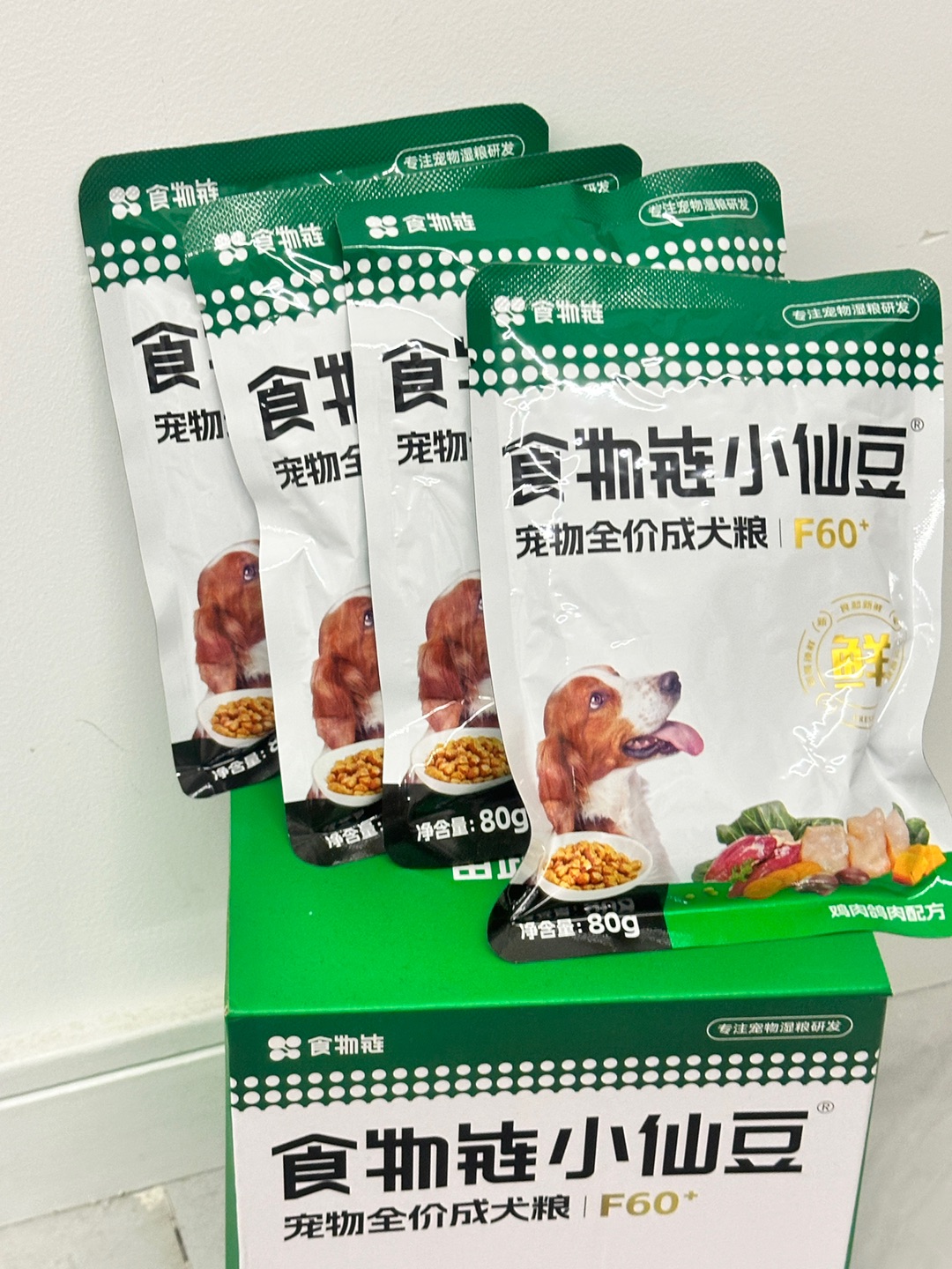 挑食小狗终结者食物链小仙豆绝了