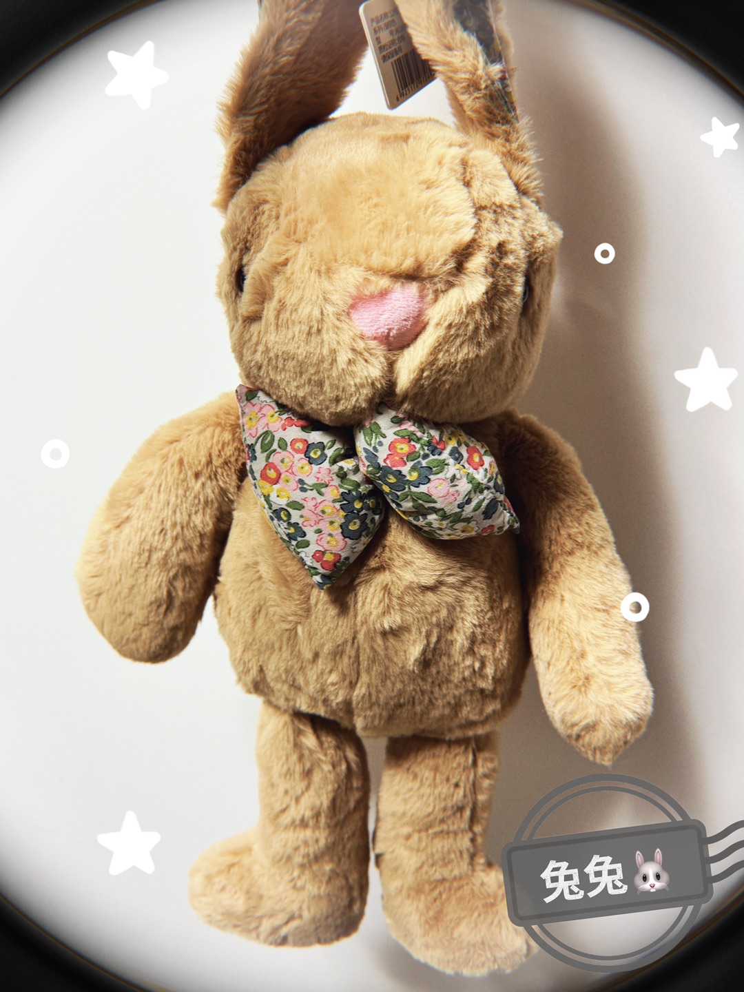 家里新成员🐰🐰🐰