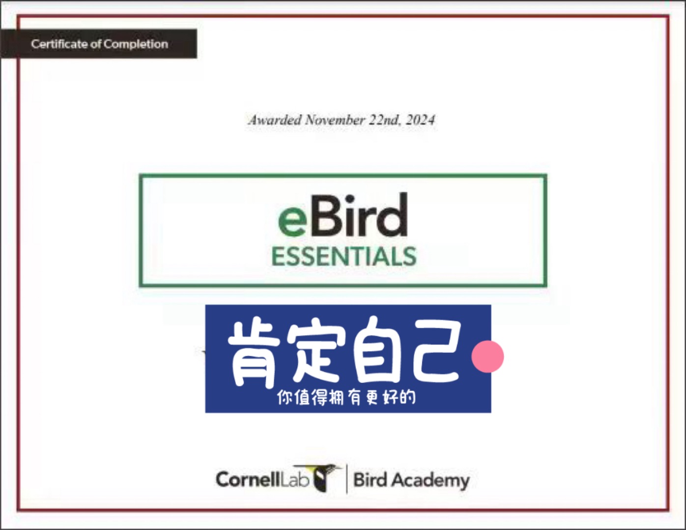 eBird证书