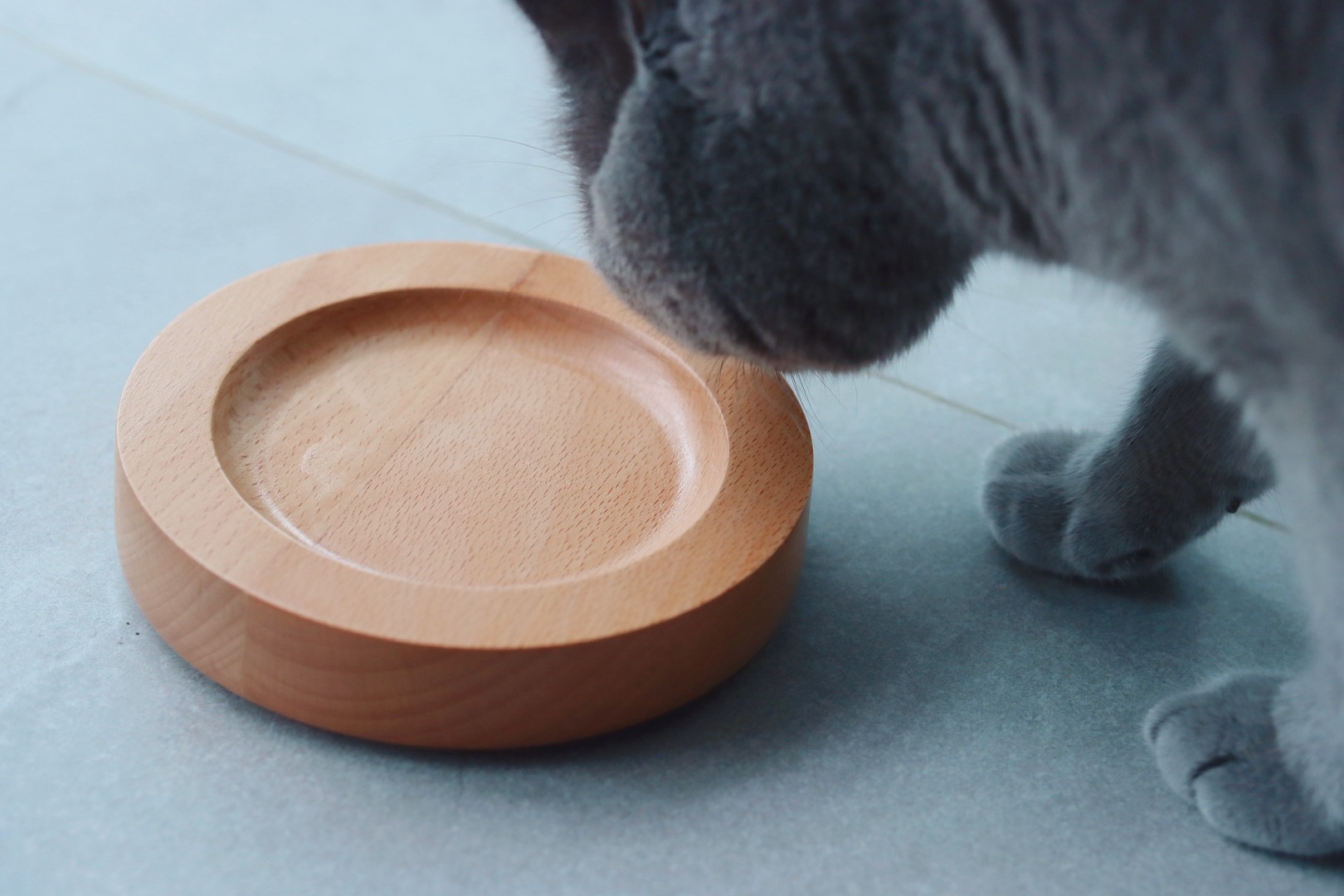 测评猫碗架