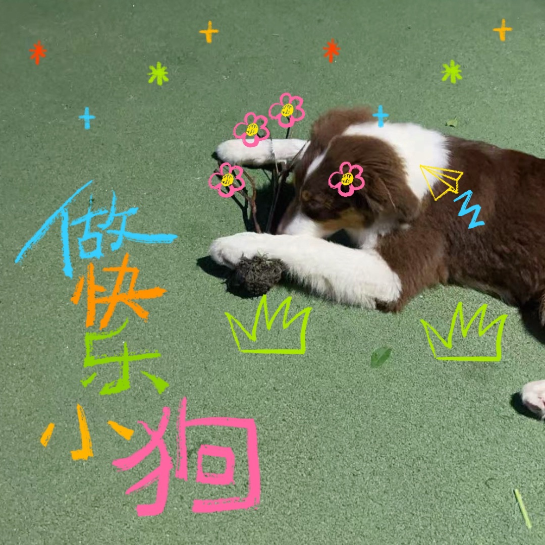 原来快乐真的可以很简单✨