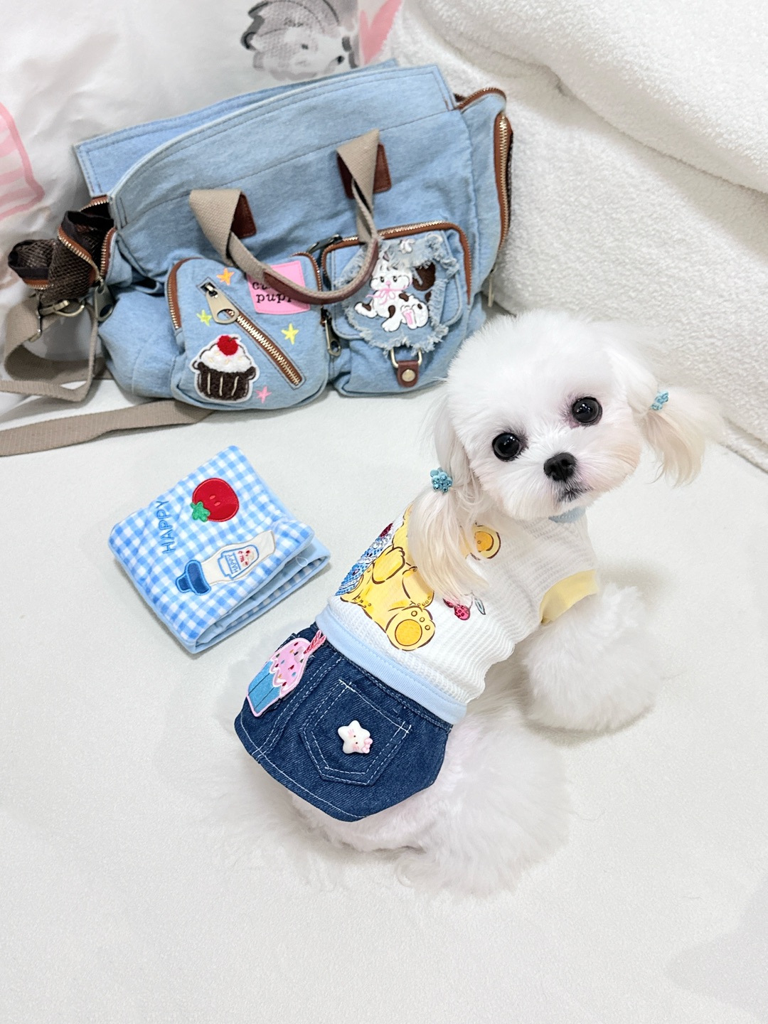 小狗OOTD ｜ 牛仔小熊🧸