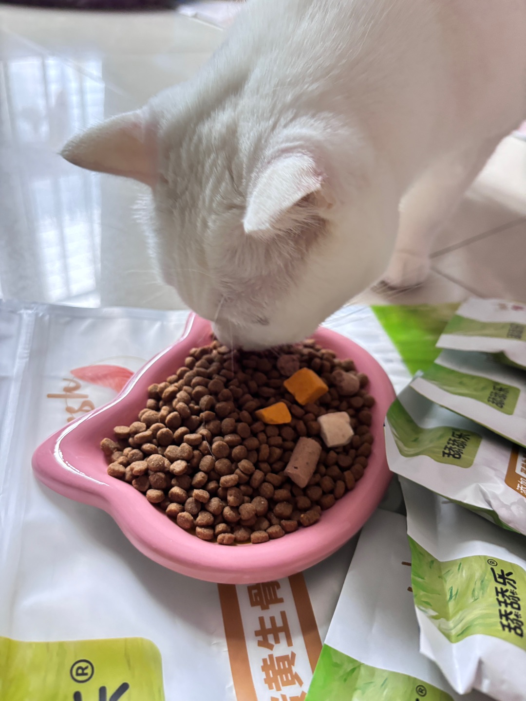 6.27多款冻干滴猫粮！