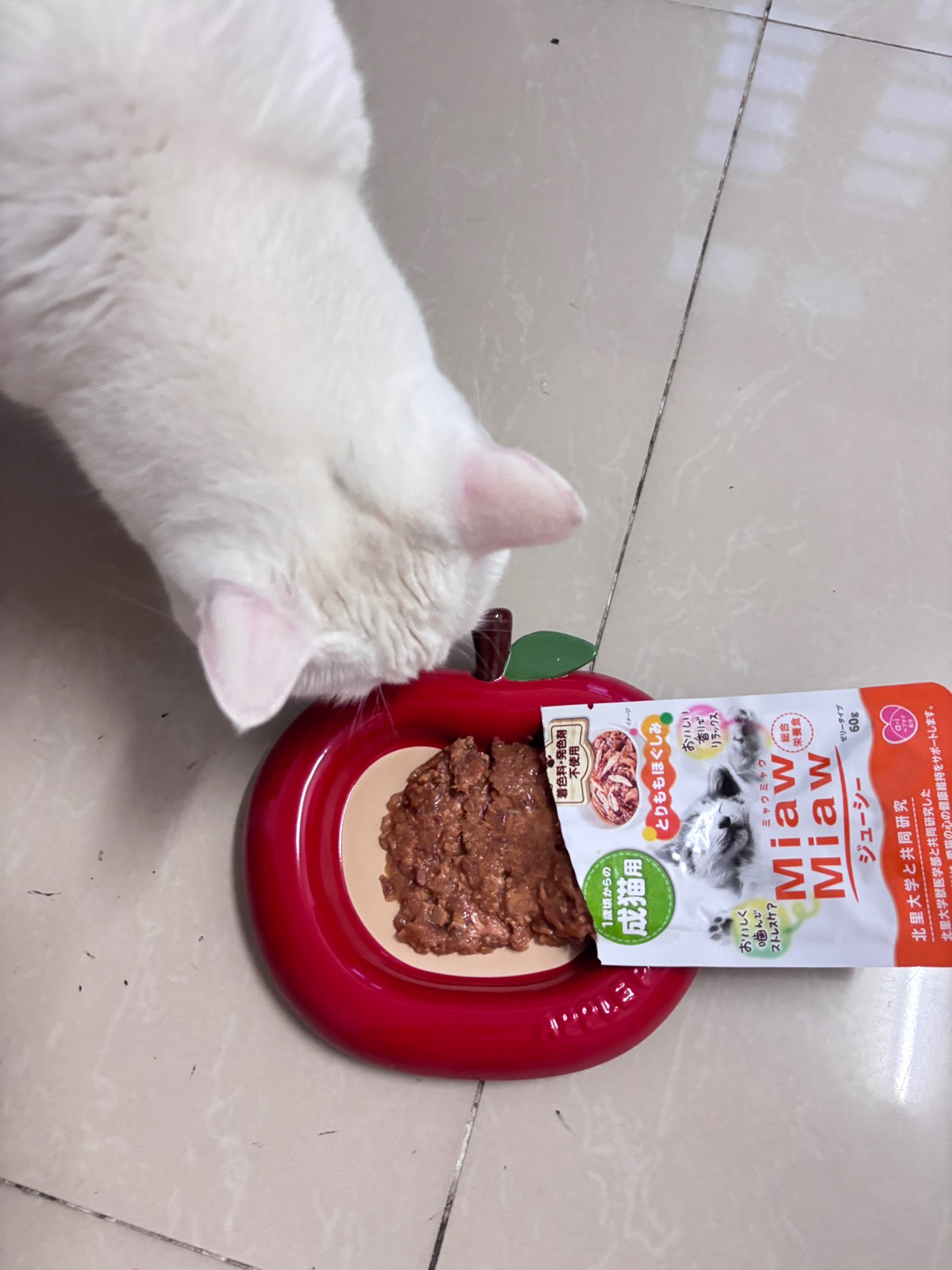 6.20 AIXIA主食包