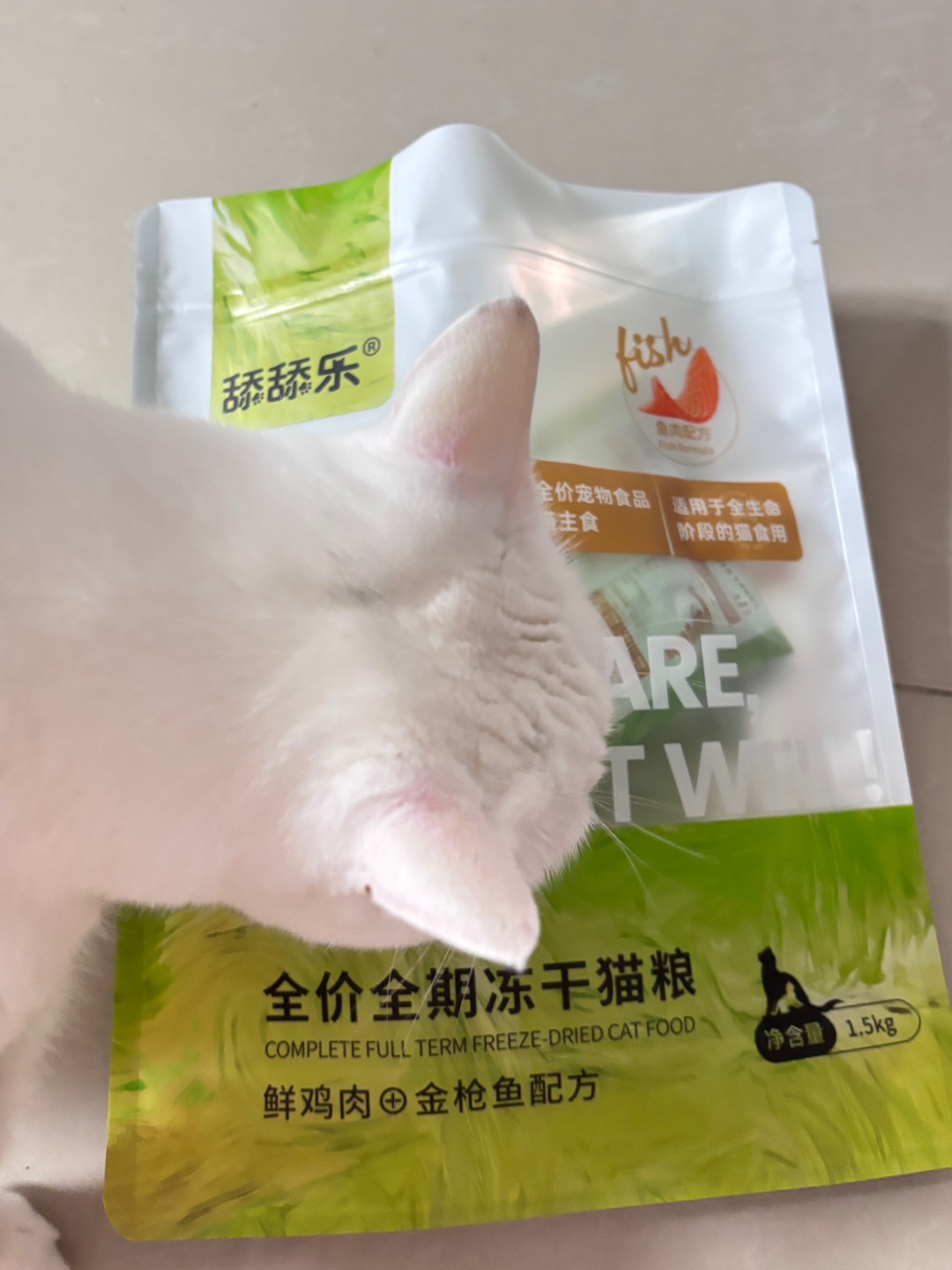 西五街