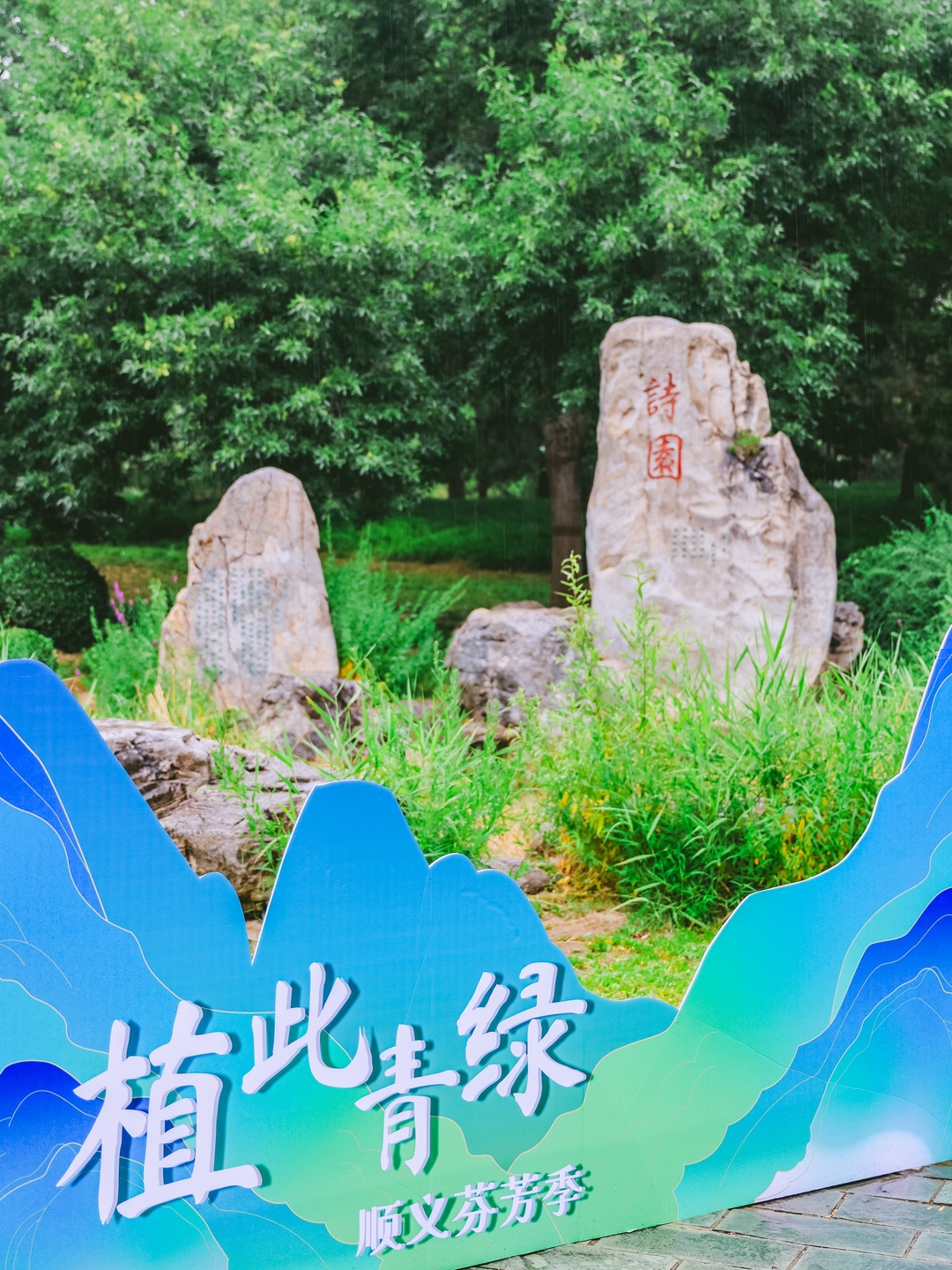 西五街