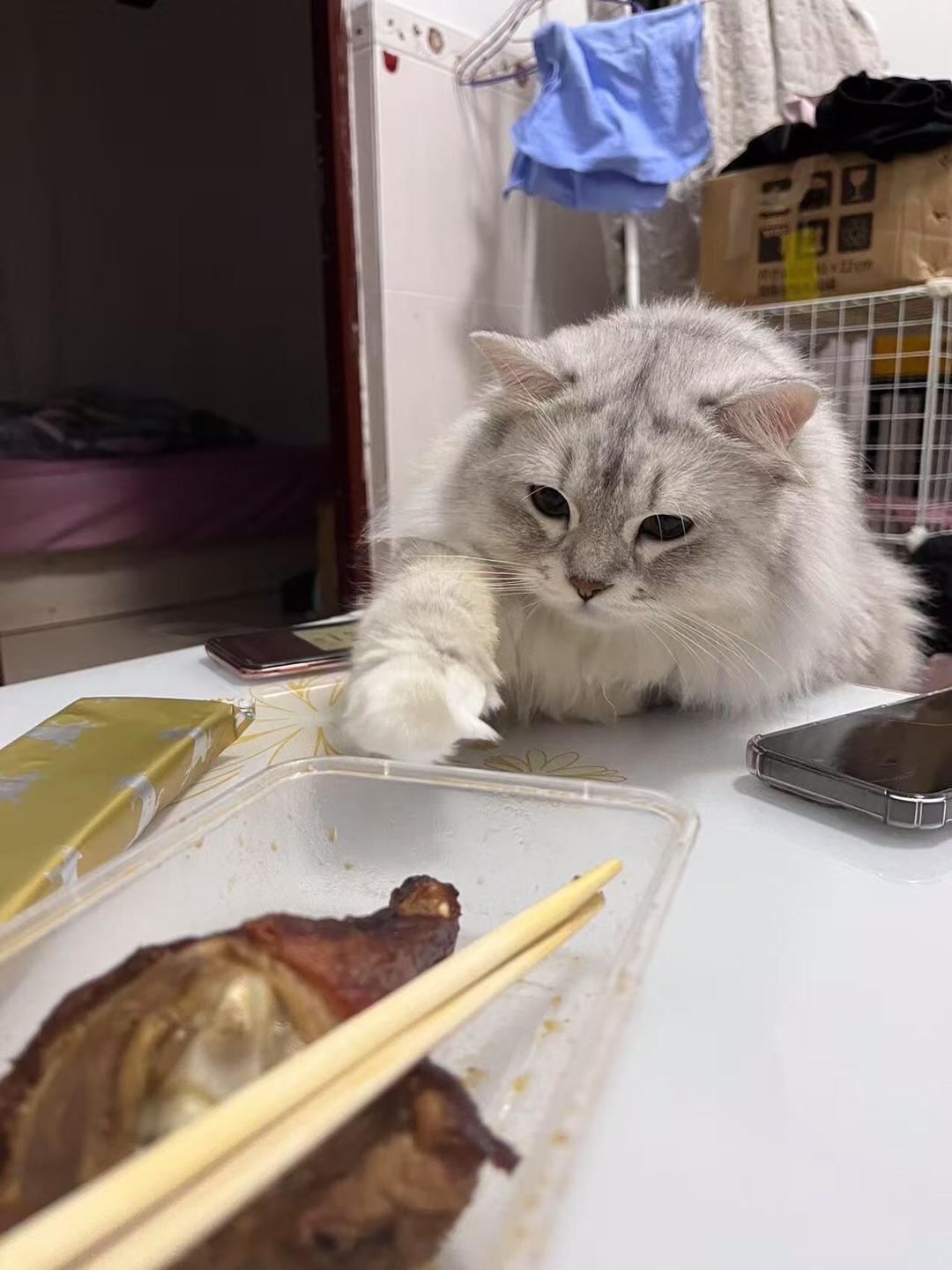 美食小偷来也