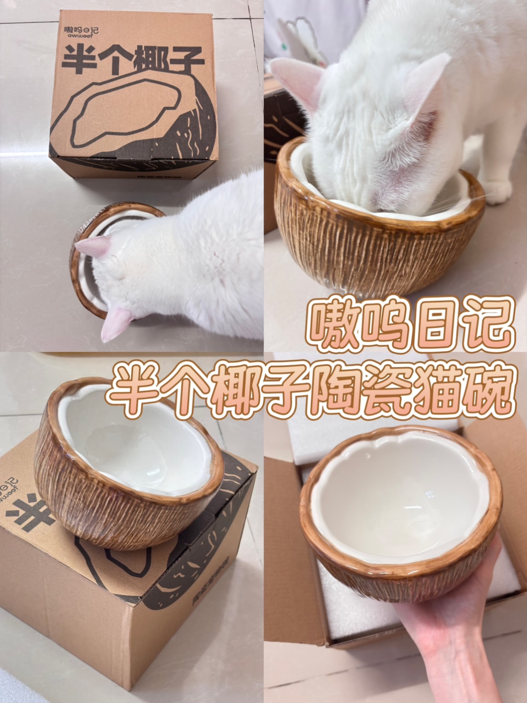 6.18🥥这个椰奶碗也太太好看了！