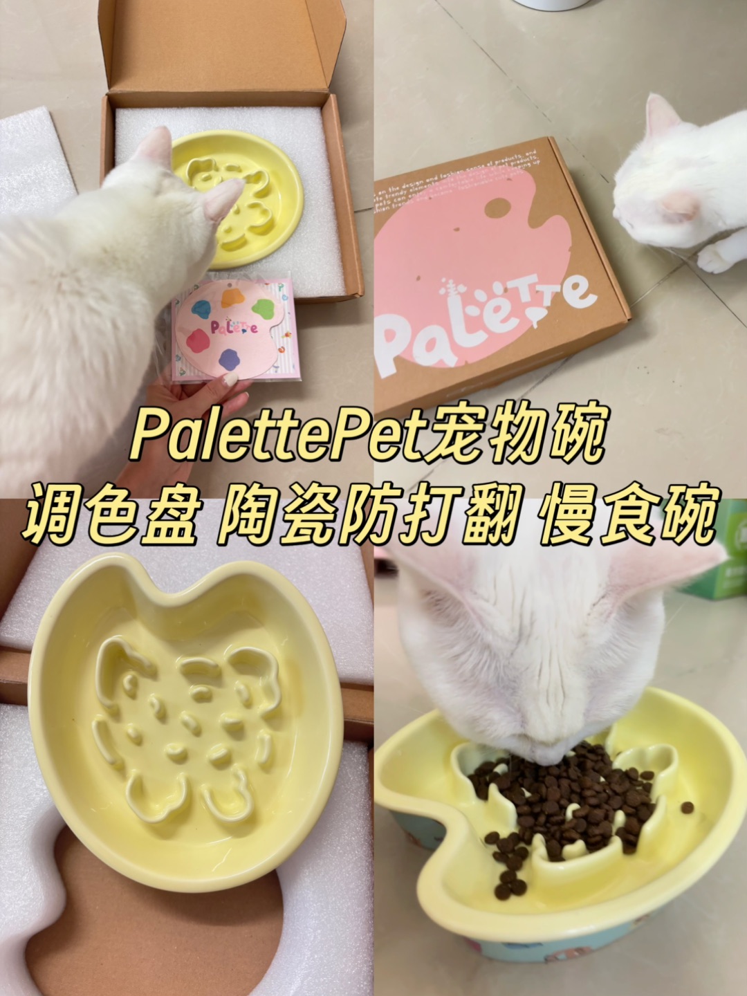 6.17真的好爱这个宠物慢食碗！🐱