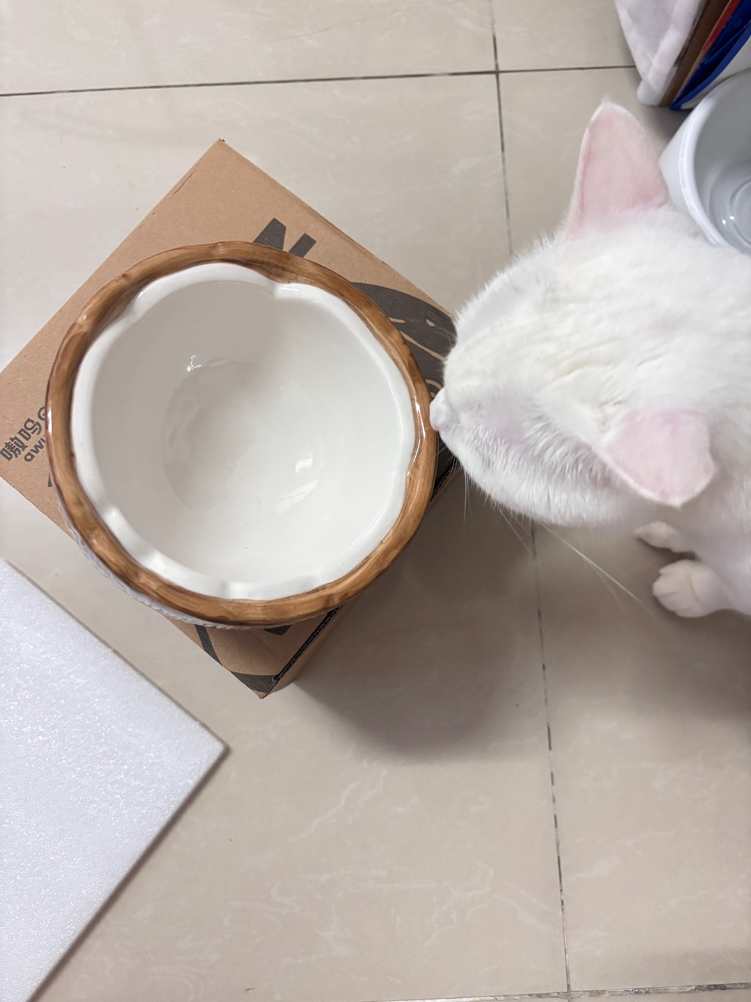 6.30半个椰汁碗
