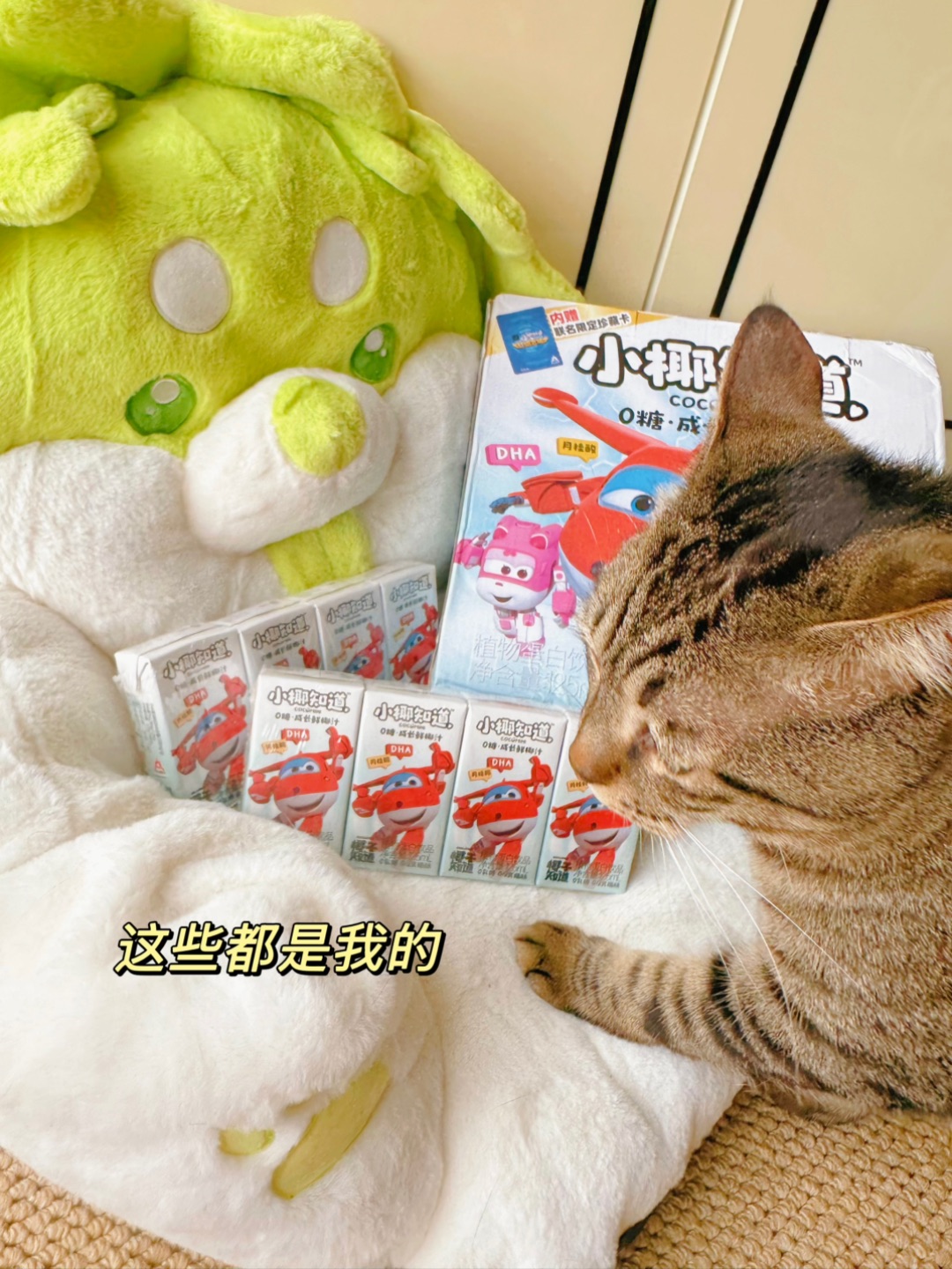 番茄严选｜外卖版·我的夏天甜品搭子