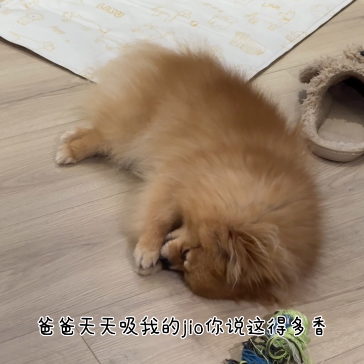 体验官活动，邀请一位ee来闻我的jio