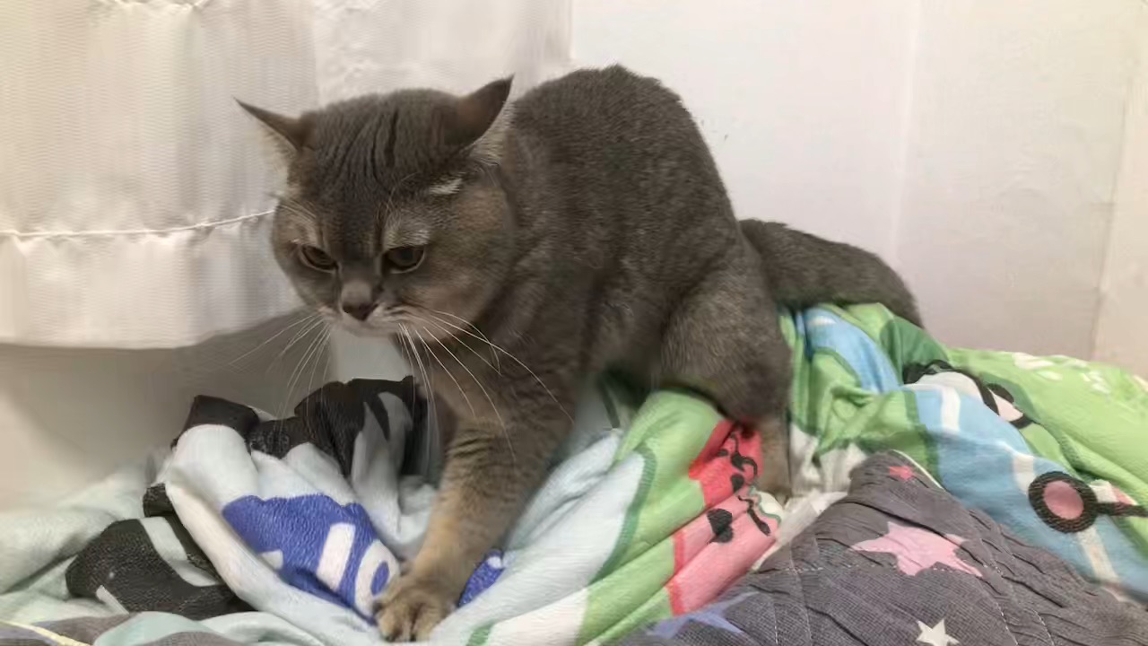 孩子青春期到了😅
