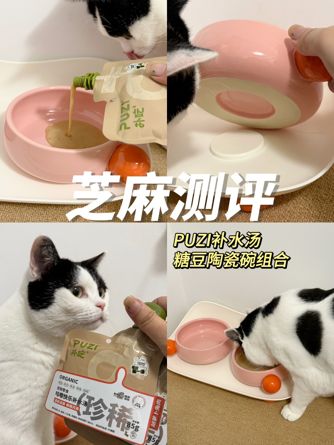芝麻测评｜有好吃的又有好玩的