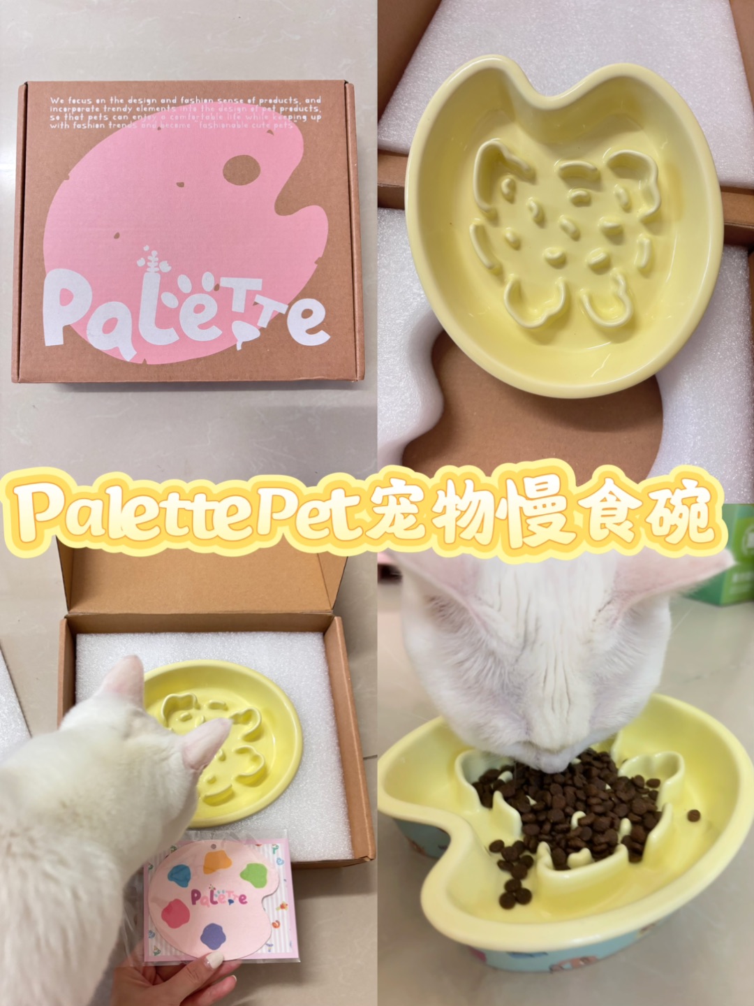 6.17宠物慢食碗