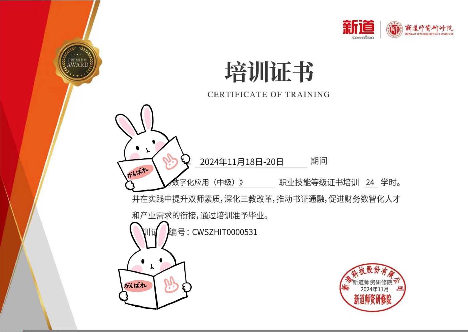 财务数字化应用中级证书