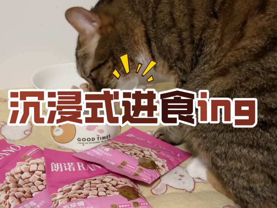 动态享受美食18