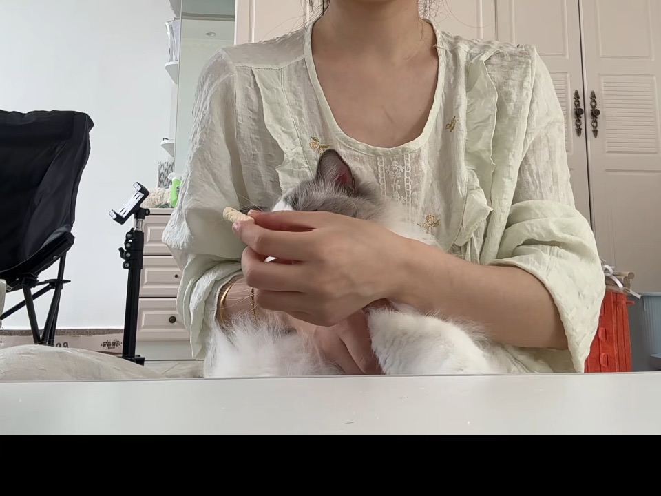 踢飞冻干之馒头捡漏版哈哈哈哈哈