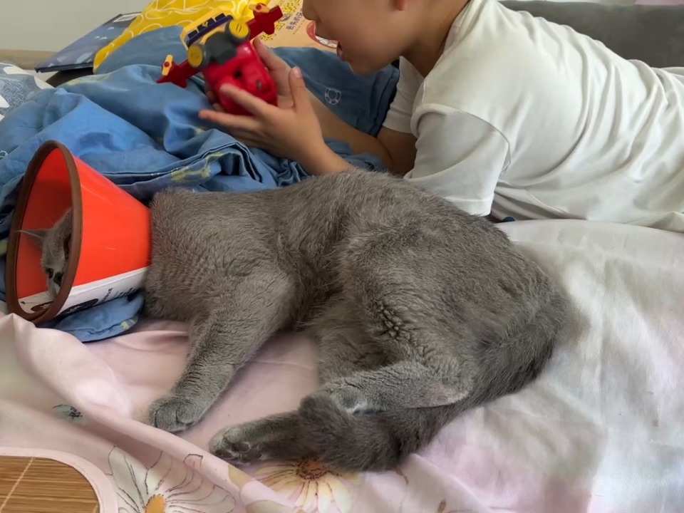 互不打扰