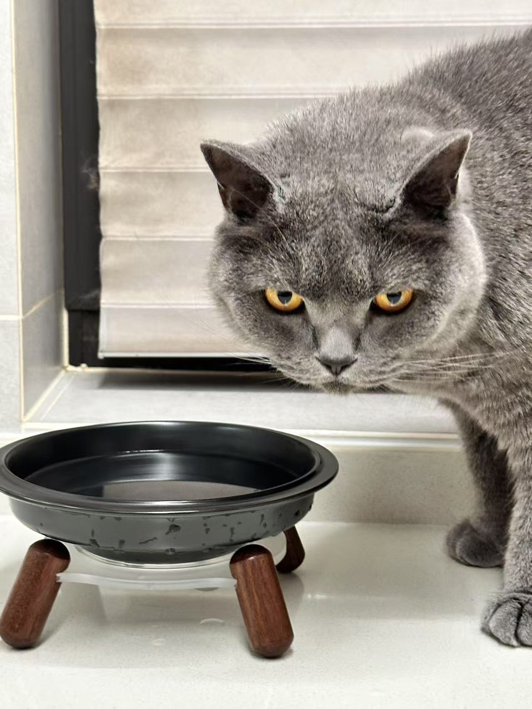 猫猫最爱的水碗！