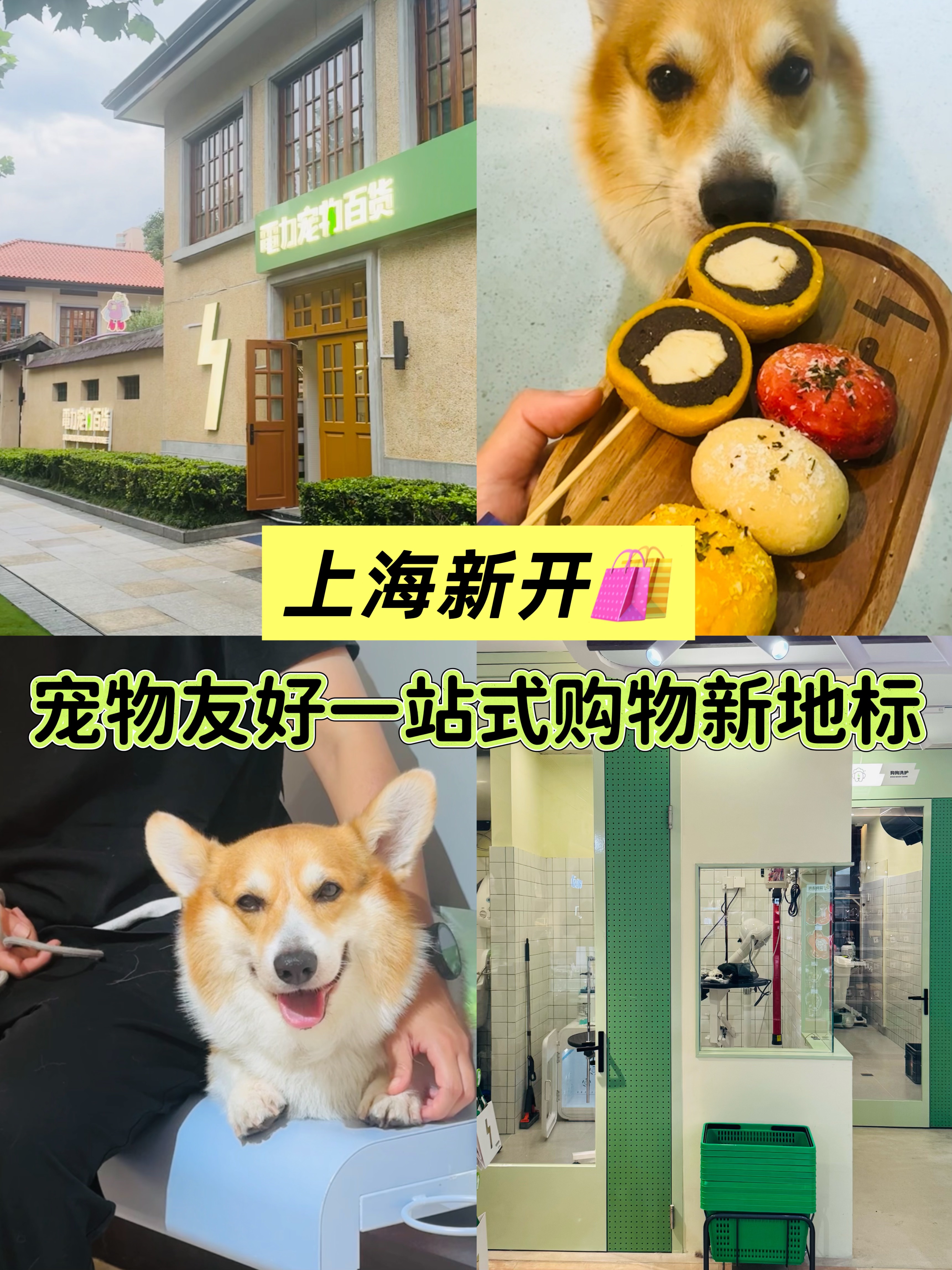 上海新开🛍️宠物友好一站式购物新地标