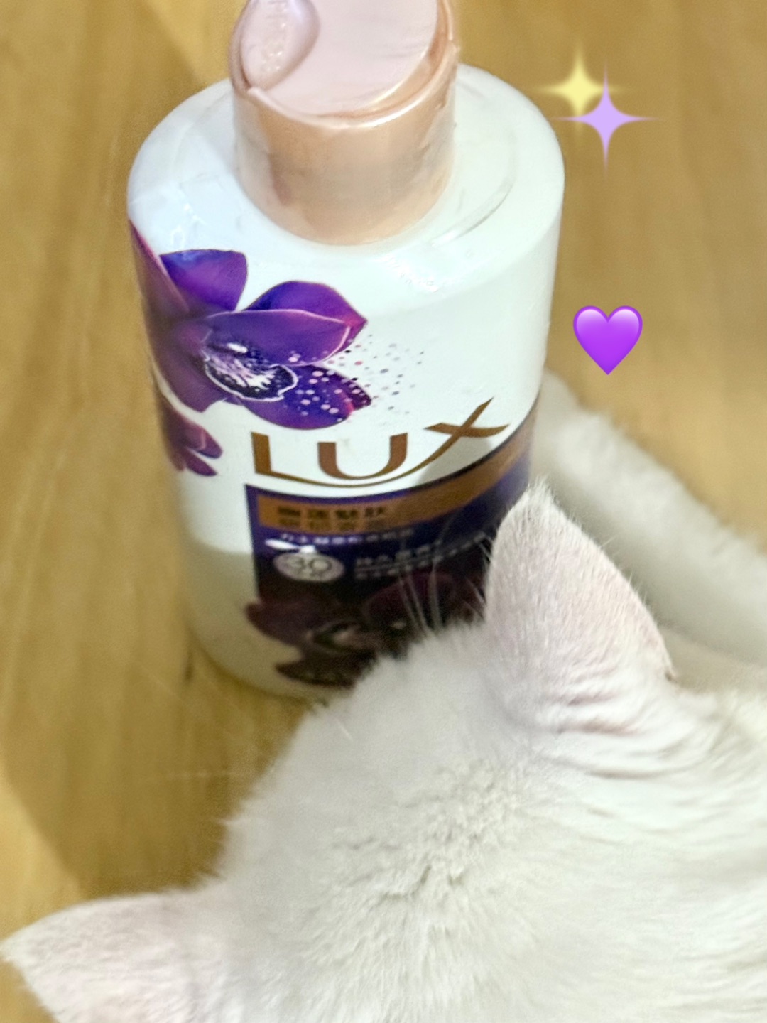 氛围拉满！邂逅治愈香氛💜