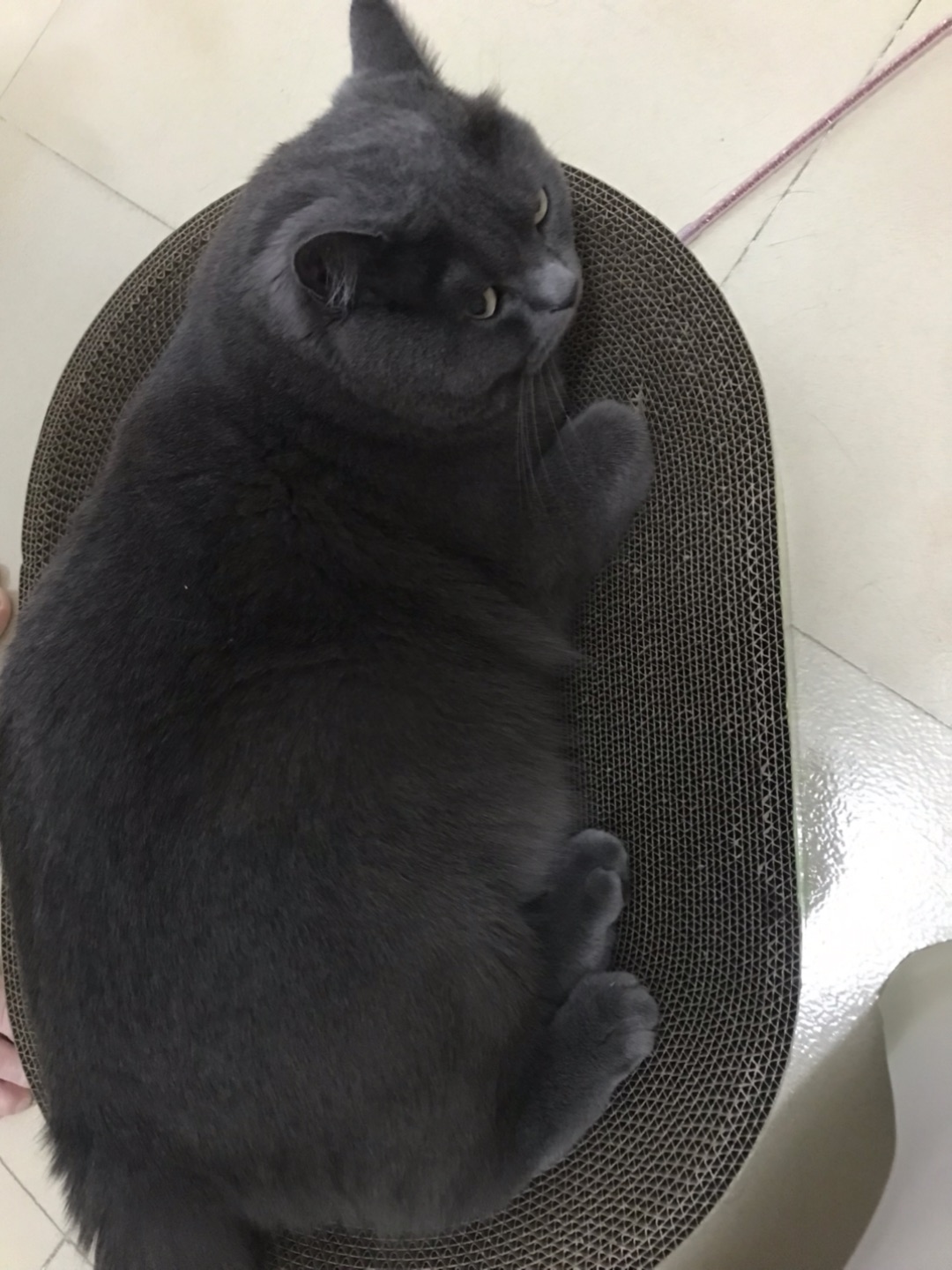 西五街