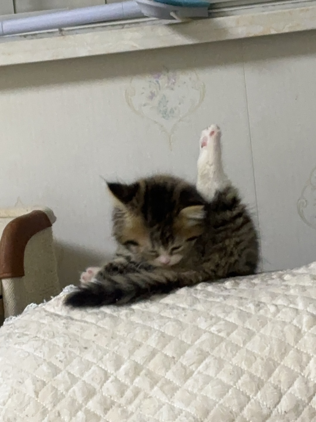 ヽ(^0^)ノ~(＾◇^)/Hi~ o(*￣▽￣*)ブ~(＾◇^)/