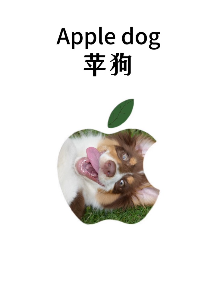 来吃苹狗🐶