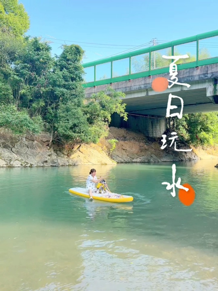 小狗的夏日玩水日记