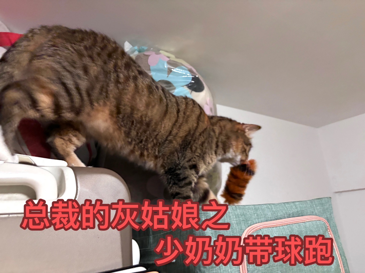 脑洞大开哈哈哈哈24