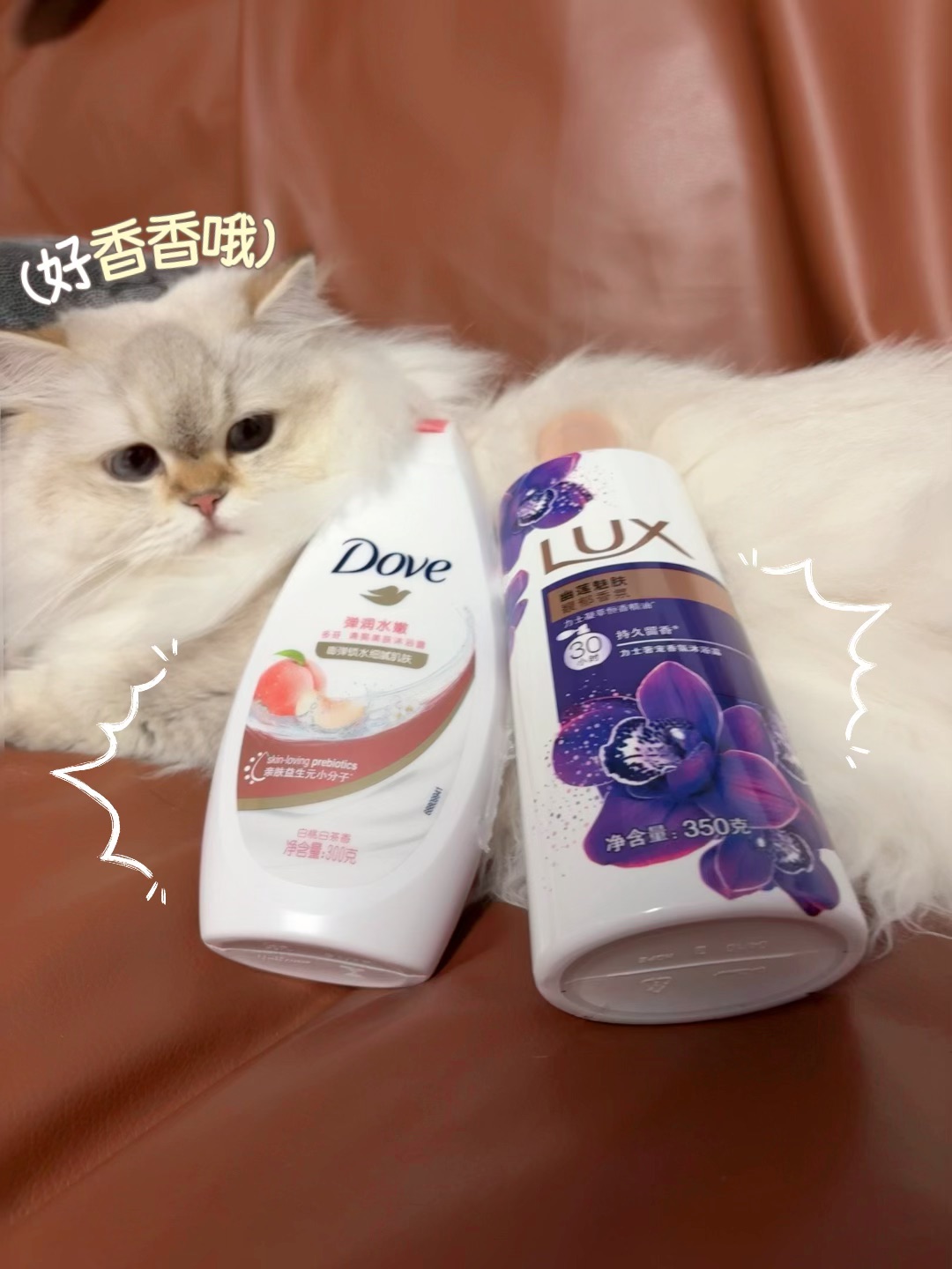 好运来～好运来～好运香香来！