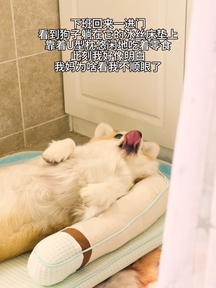 终于知道我妈为什么看我不顺眼了