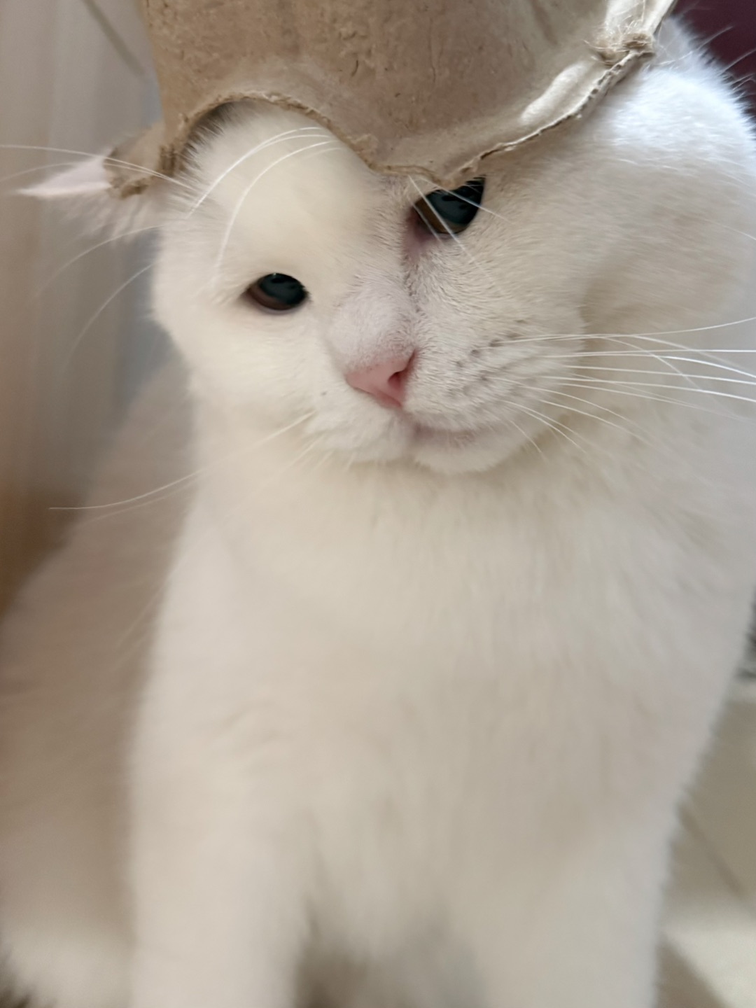 西五街