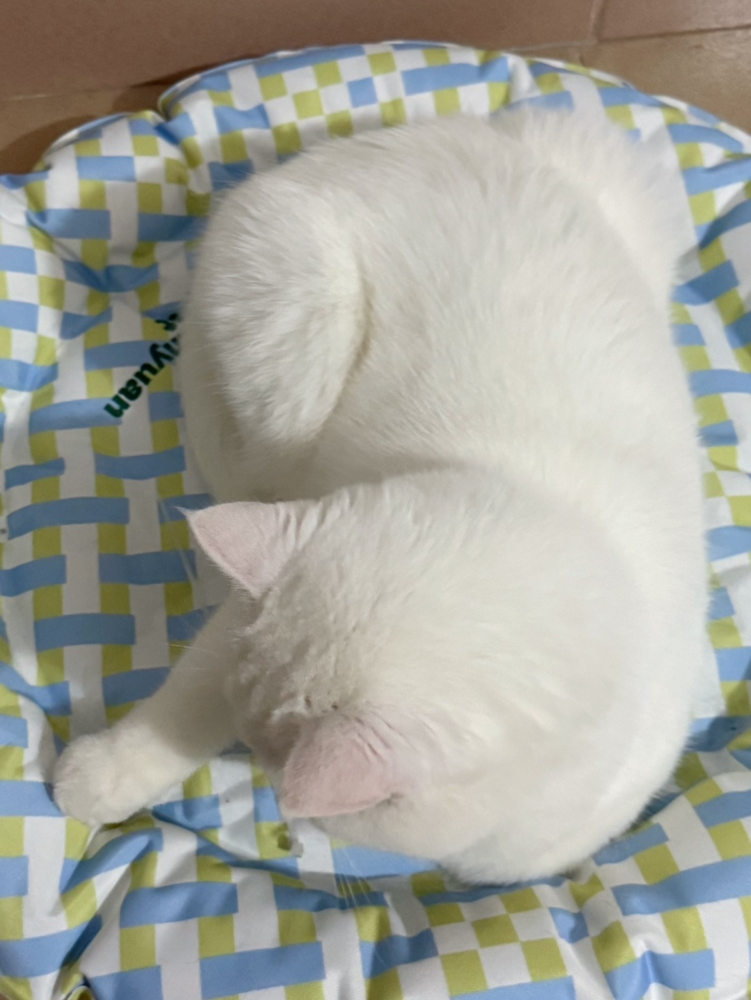 西五街